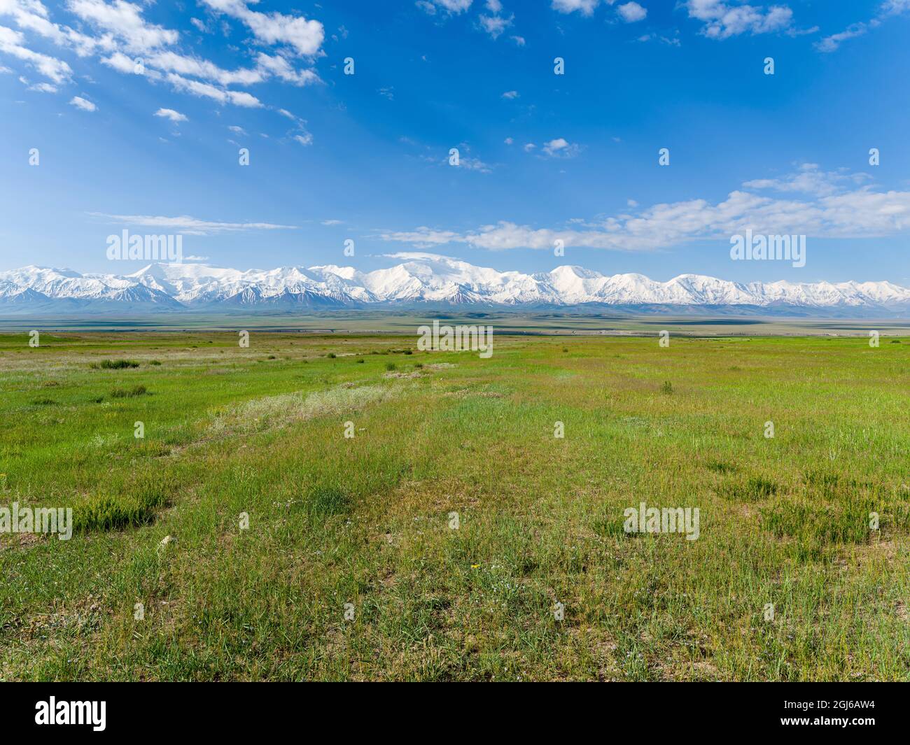 Abu ali ibn sino hi-res stock photography and images - Alamy