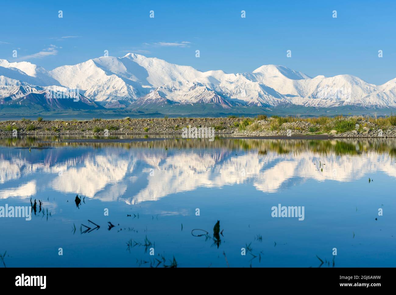 Abu ali ibn sino hi-res stock photography and images - Alamy