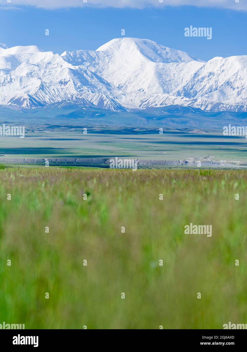 Mount Pik Dserschinski. Alay Valley in front of the Trans-Alay Range ...