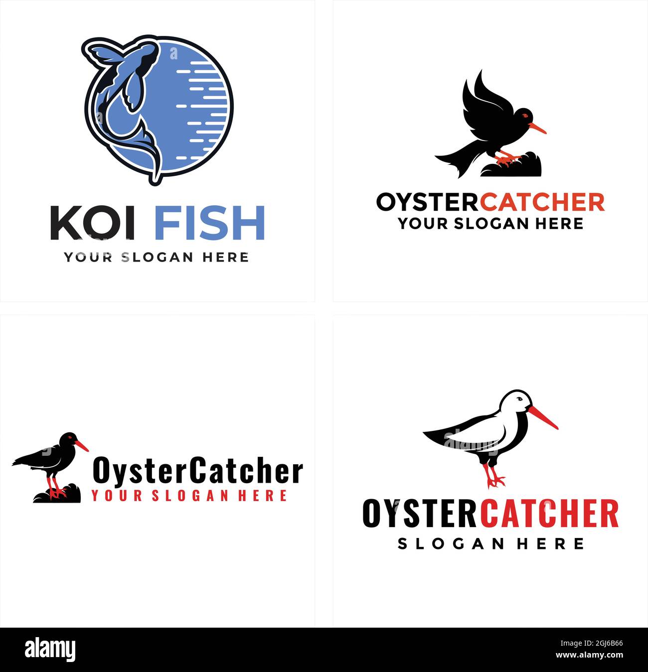 Animal koi fish and oyster catcher vector logo design Stock Vector
