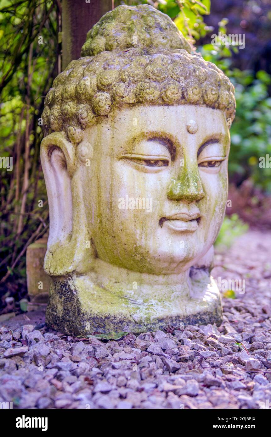 Buddah head garden statue in an English UK garden Stock Photo