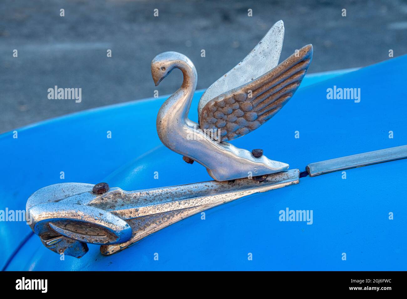 Swan hood ornament hires stock photography and images Alamy