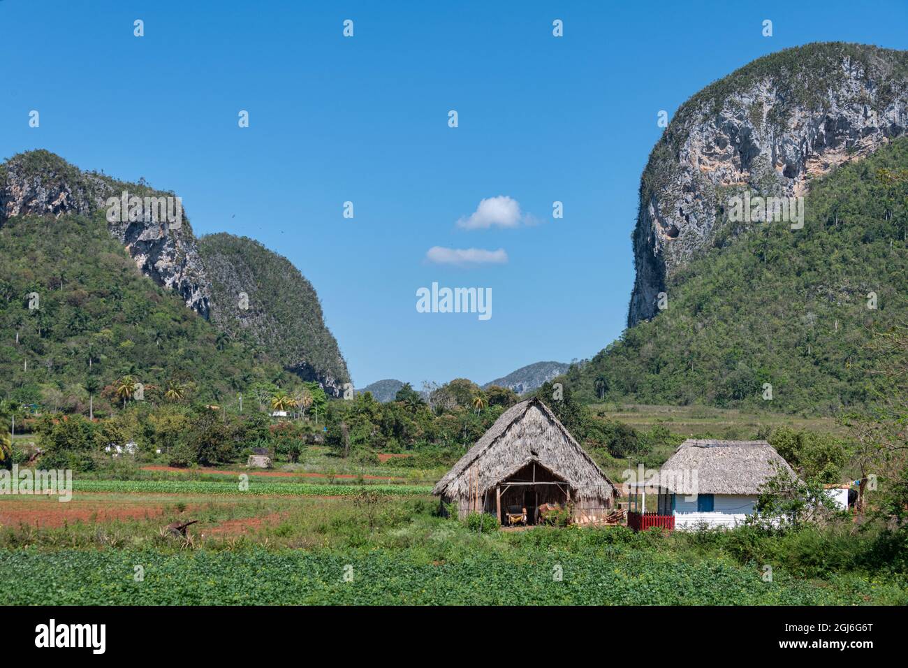 Thatched roofed house and barn surrounded by crops and mogotes in Cuba, Vinales, Vinales Valley Stock Photo