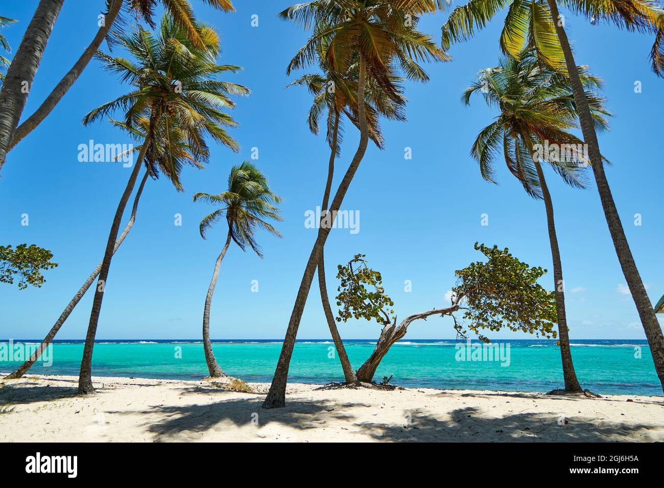 Caribbean, French West Indies, Guadeloupe. Marie-Galante Island, part of  France. Beach at Capesterre. Capesterre is an old French seafaring term  desig Stock Photo - Alamy