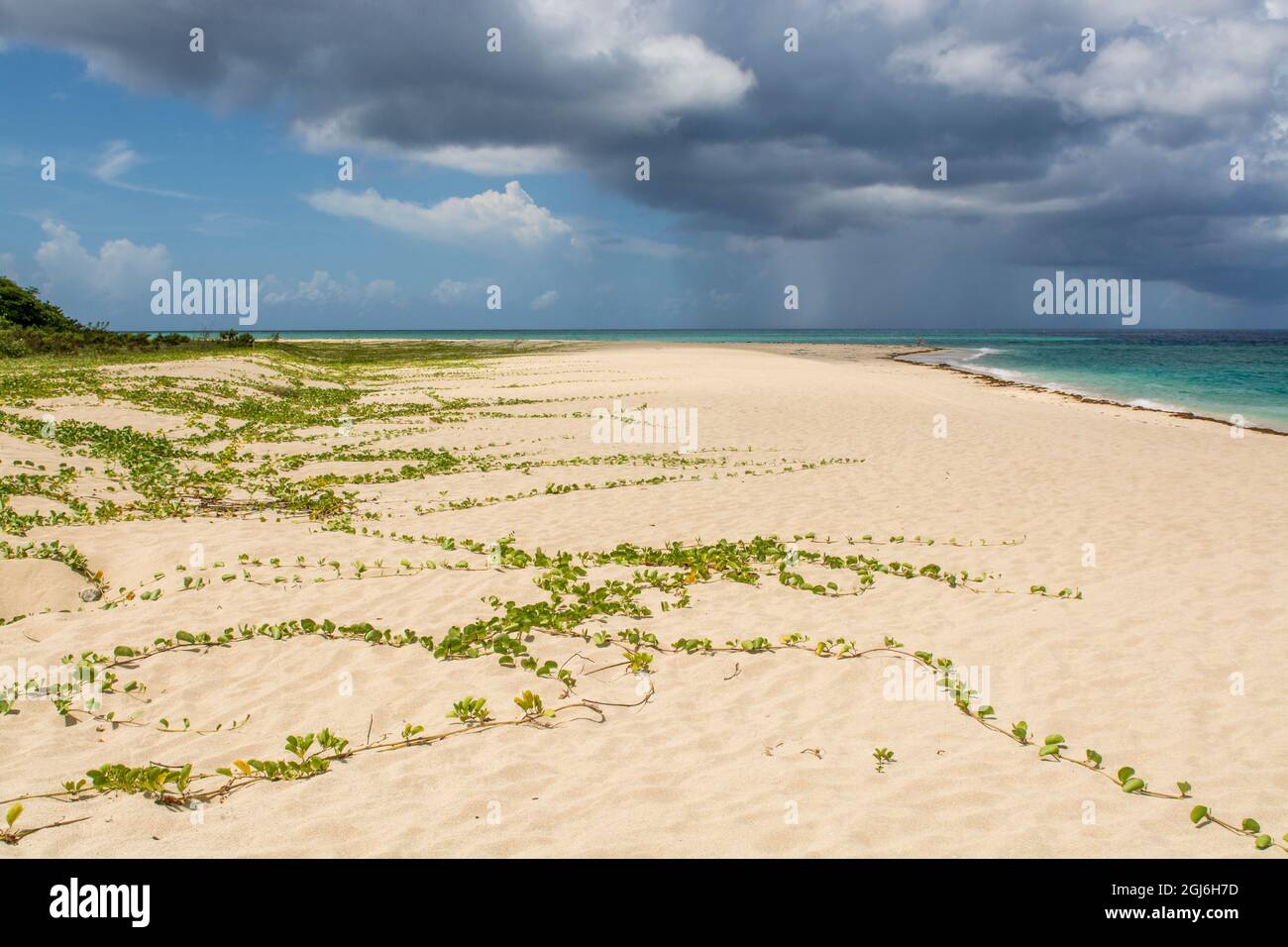 Sandy Point National Wildlife Refuge beach, St. Croix, US Virgin ...