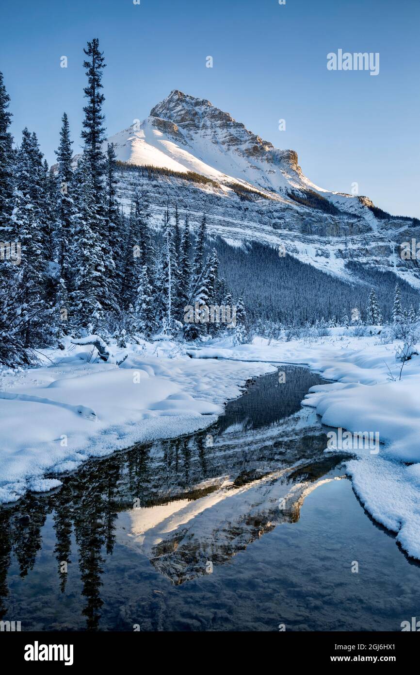 Canada, Alberta, Jasper National Park, Tangle Peak reflected in Beauty Creek Stock Photo