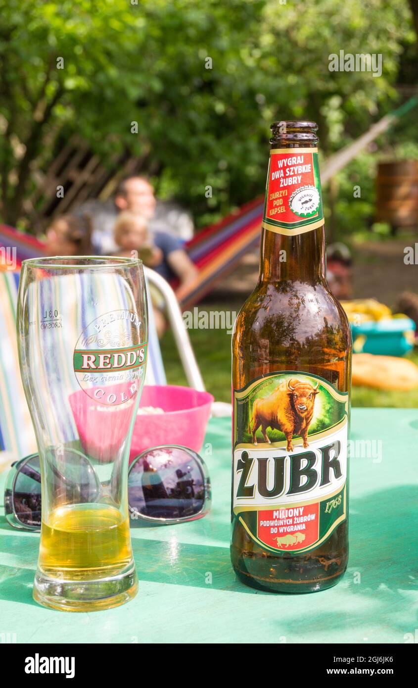 POZNAN, POLAND - May 21, 2016: A Polish Zubr brand beer bottle and a almost empty large glass standing on a table. Stock Photo