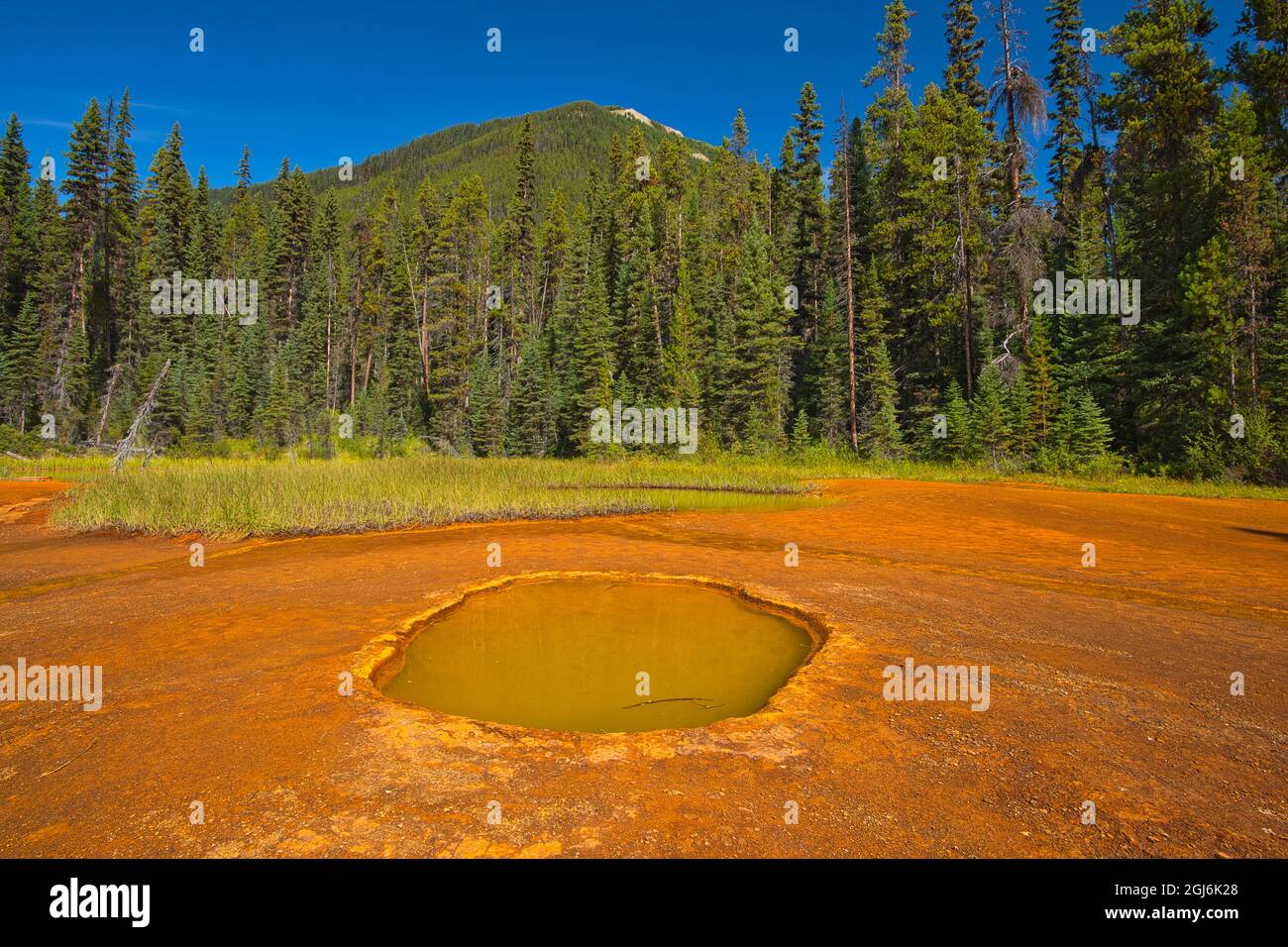 Canada, British Columbia, Kootenay National Park. Iron-rich Paint Pots mineral springs stain ground. Credit as: Mike Grandmaison / Jaynes Gallery / Da Stock Photo