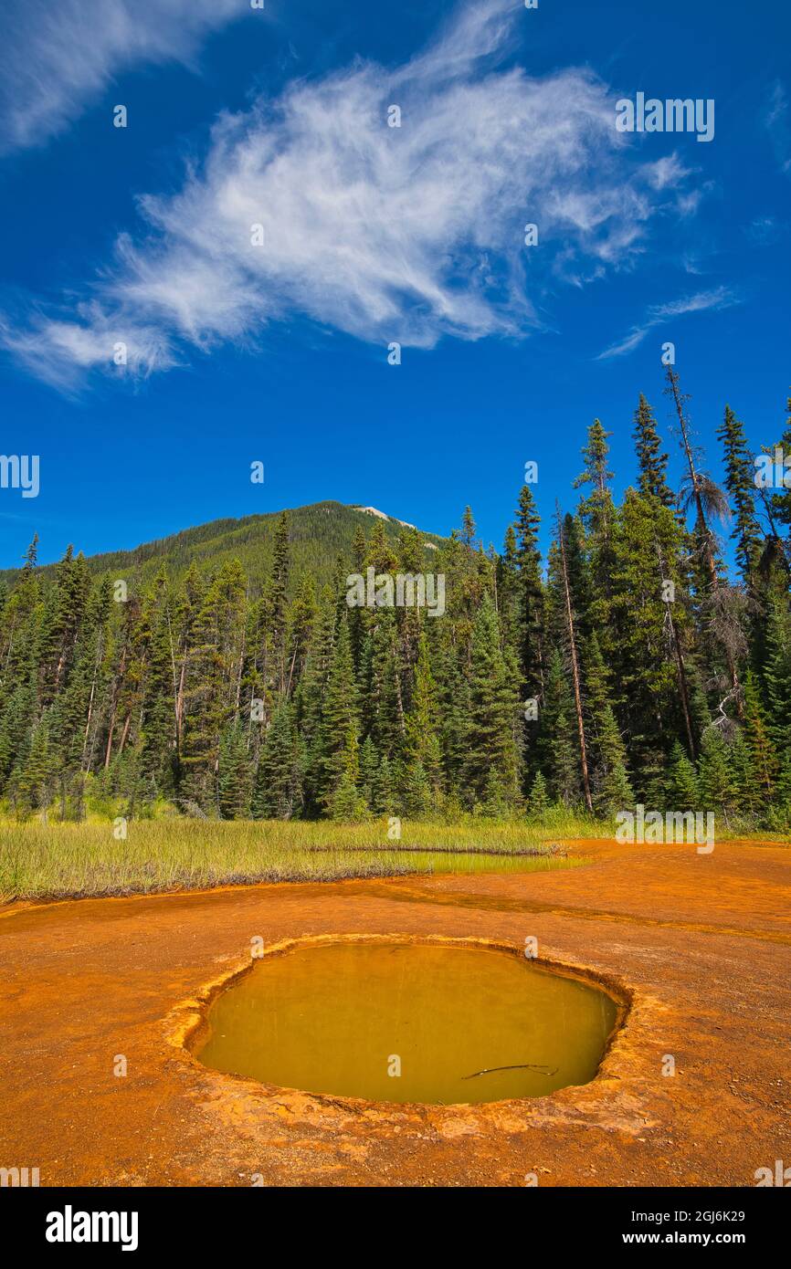 Canada, British Columbia, Kootenay National Park. Iron-rich Paint Pots mineral springs stain ground. Credit as: Mike Grandmaison / Jaynes Gallery / Da Stock Photo