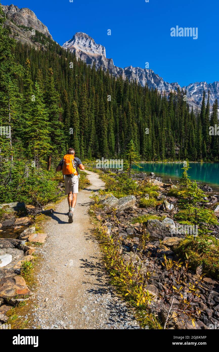 Hiker in yoho national park hi-res stock photography and images - Alamy
