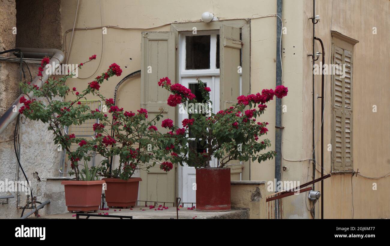 flowers in front of a house, Nafplion, Peloponissos, Greece Stock Photo