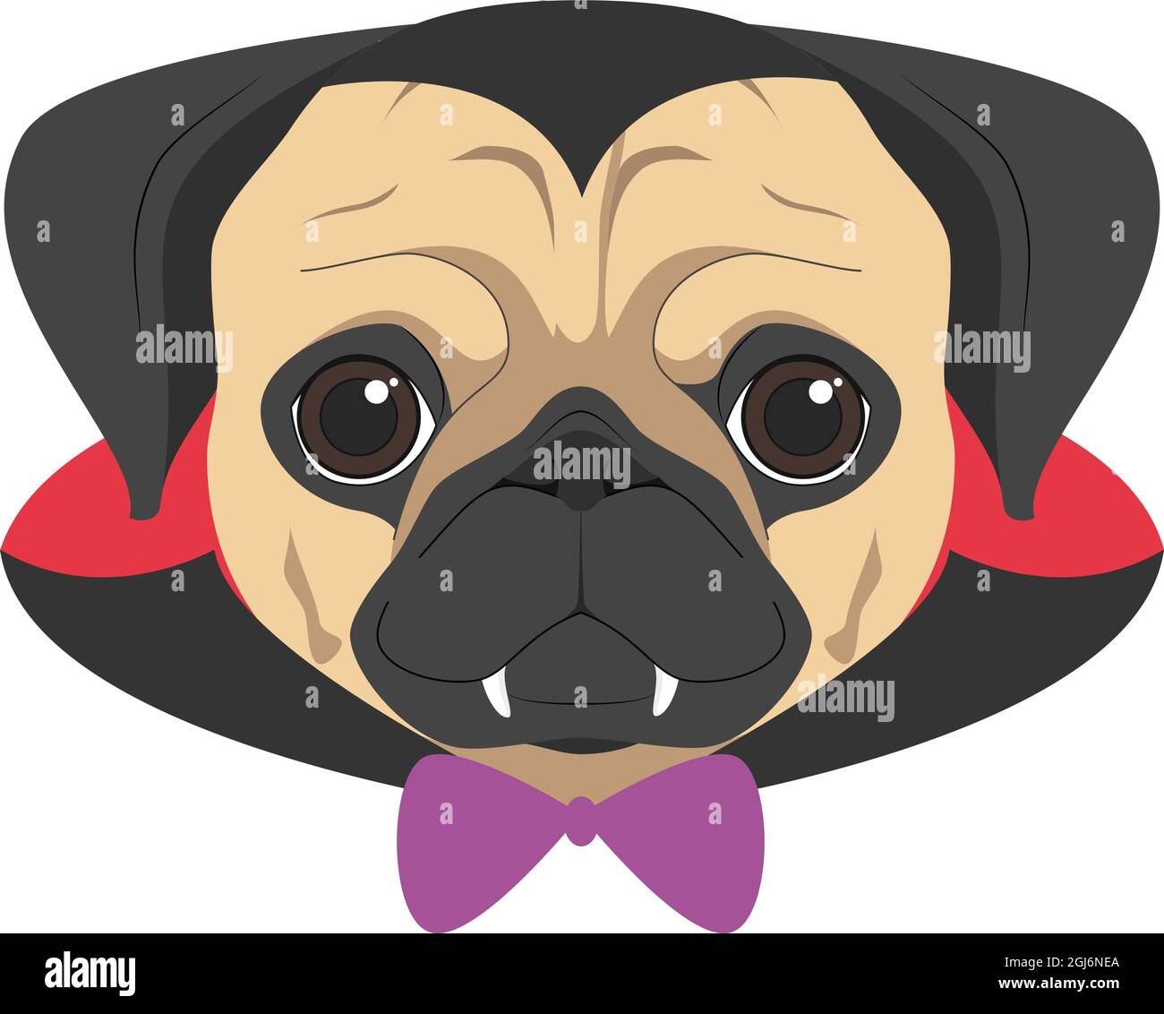 Halloween greeting card. Pug dog dressed as a vampire with fangs, bow tie and cape Stock Vector