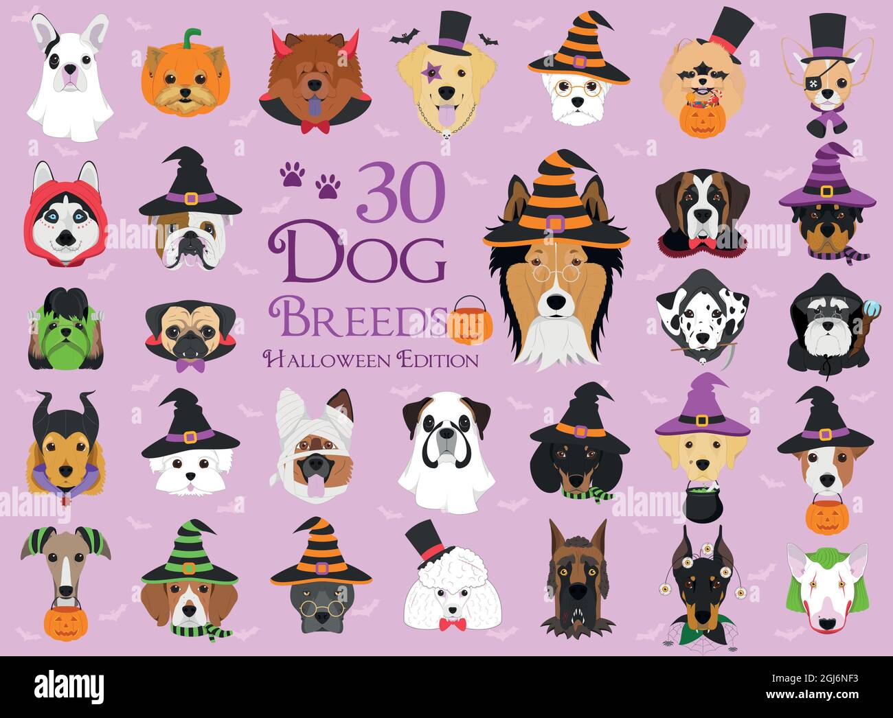 Set of 30 dog breeds with Halloween costumes Stock Vector