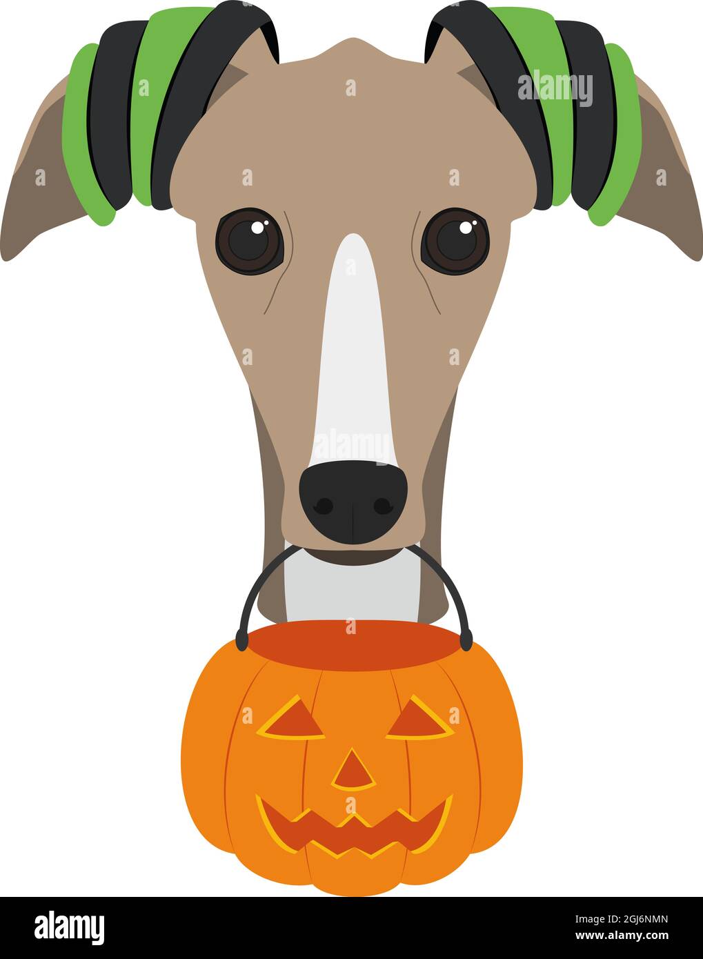 Halloween greeting card. Greyhound dog dressed as a witch with a