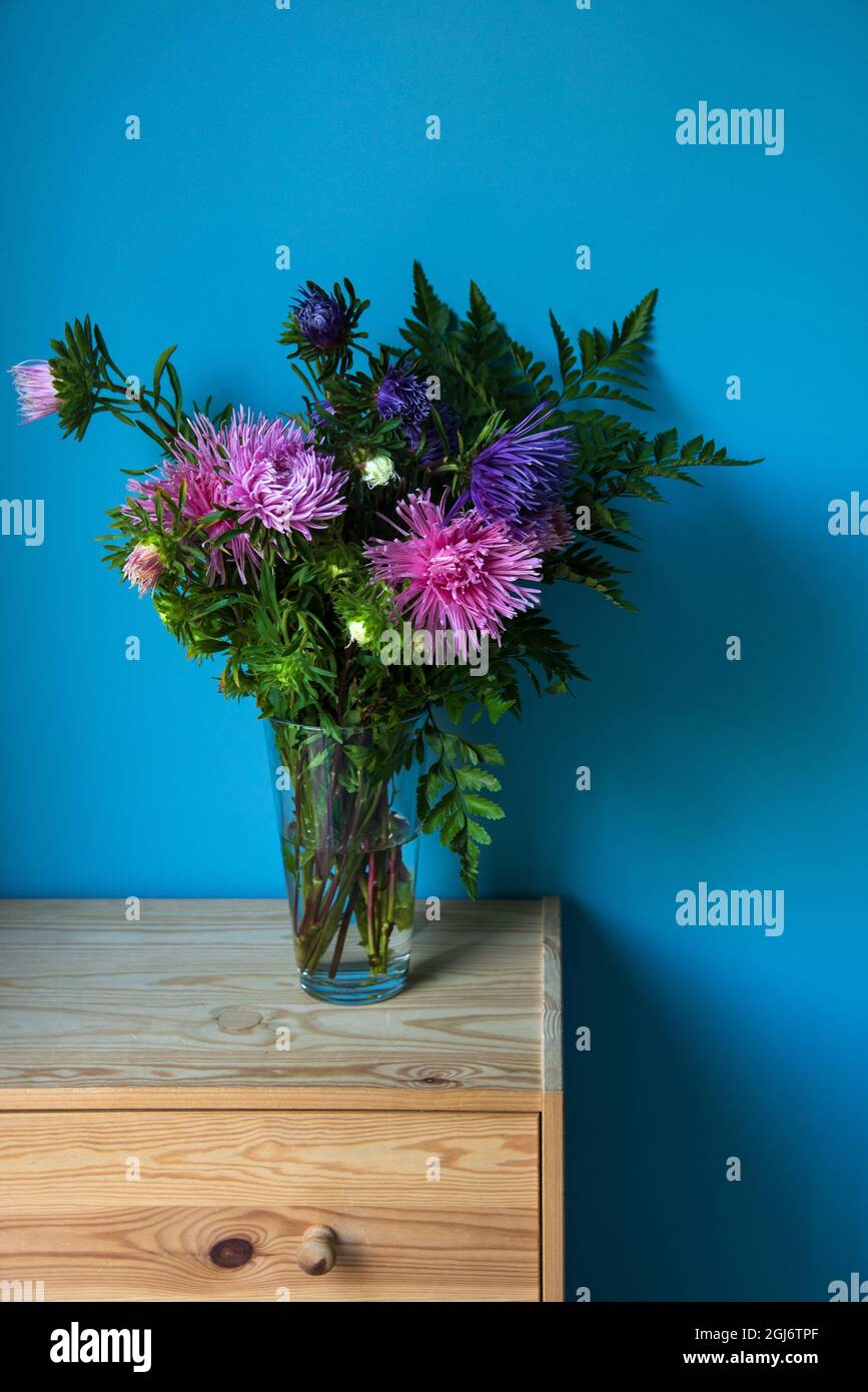 Colorful Aster flowers bouquet on bright wooden chest of drawers in blue painted room. Autumn rustic interior ideas concept. Lifestyle background. Stock Photo