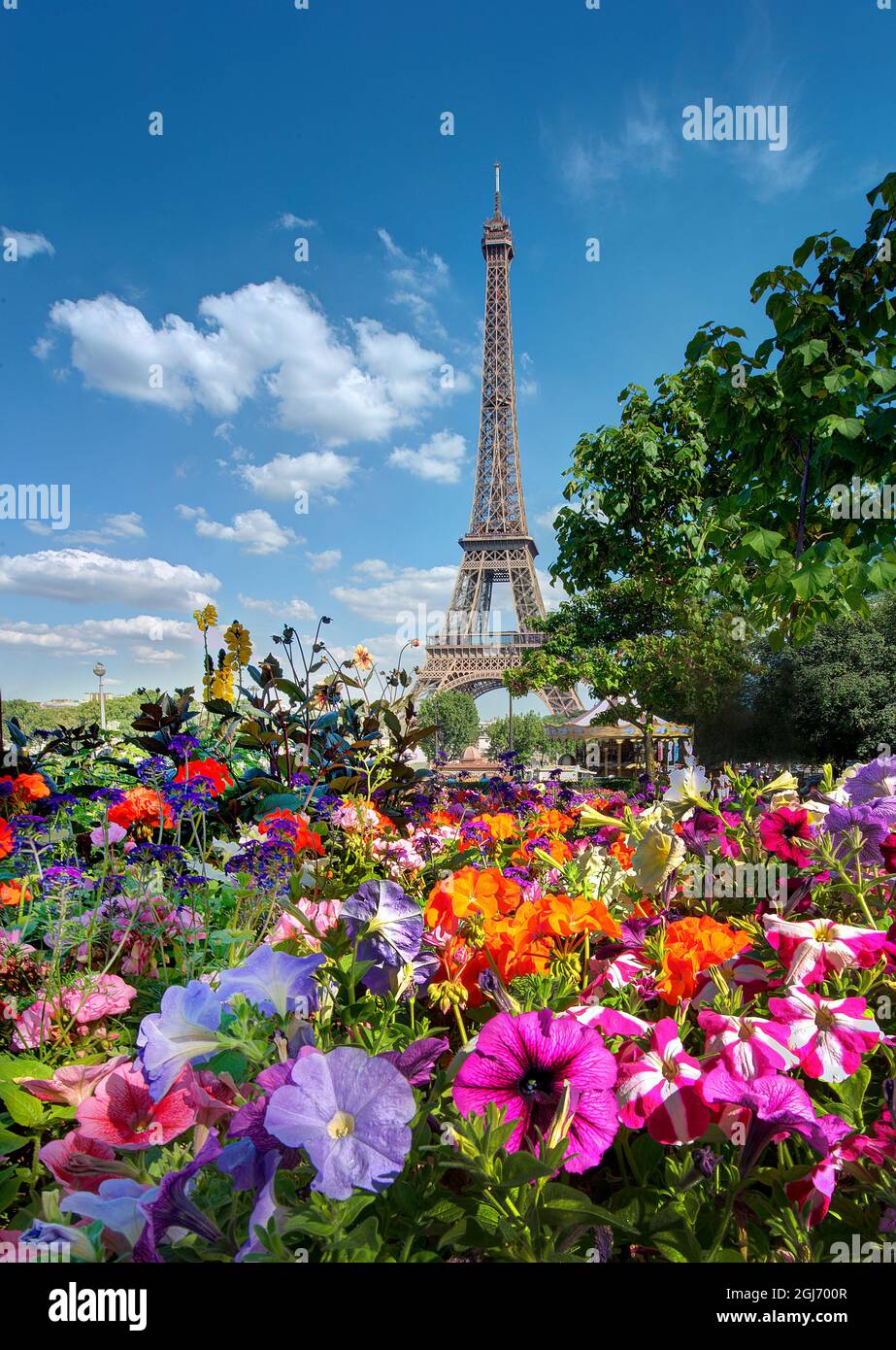 Flowers and Eiffel Tower in Paris, France Stock Photo Alamy