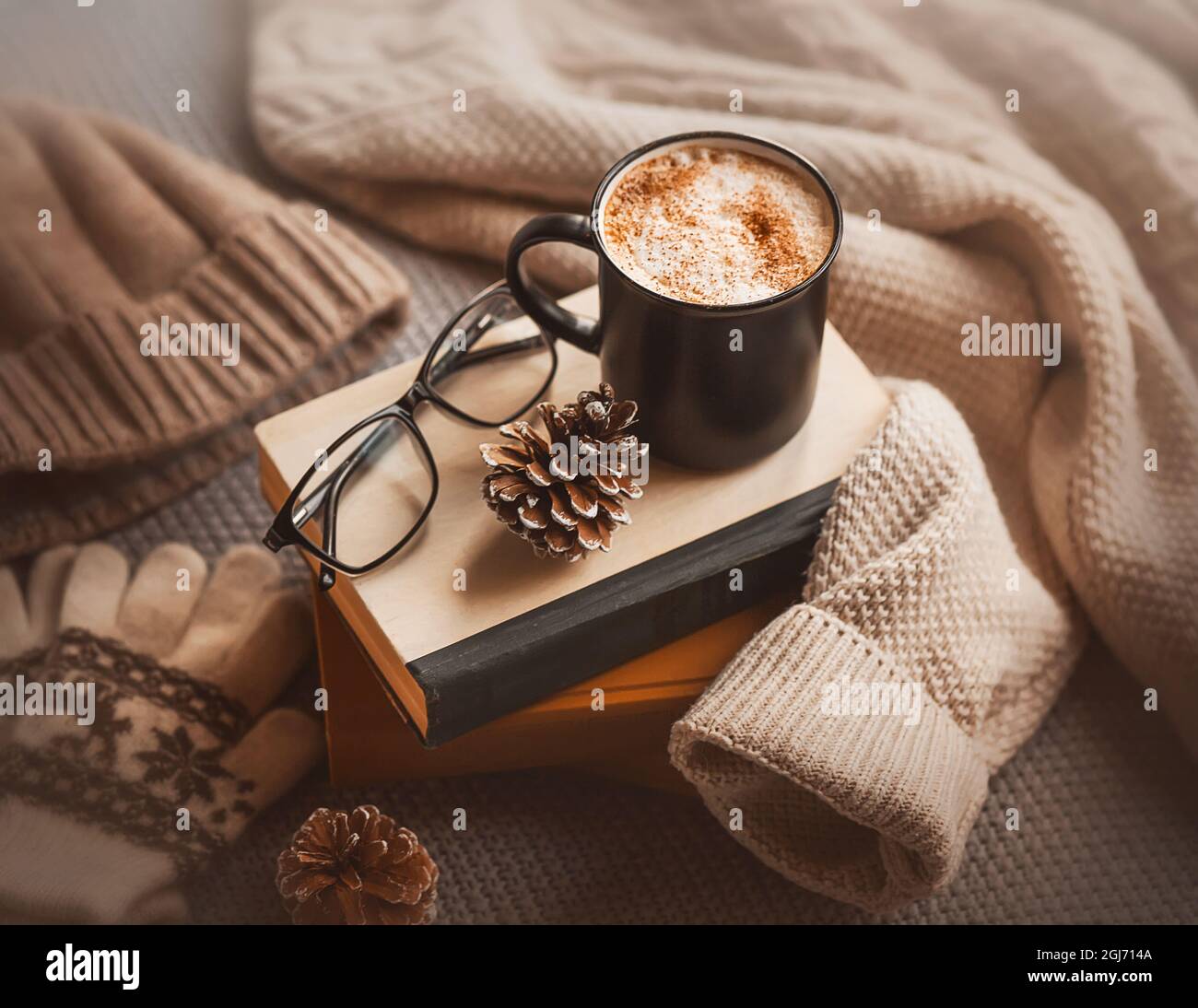 https://c8.alamy.com/comp/2GJ714A/winter-still-life-there-is-a-mug-of-coffee-with-cream-and-cinnamon-on-the-books-and-next-to-it-are-fir-cones-and-winter-warm-clothes-a-hat-glove-2GJ714A.jpg