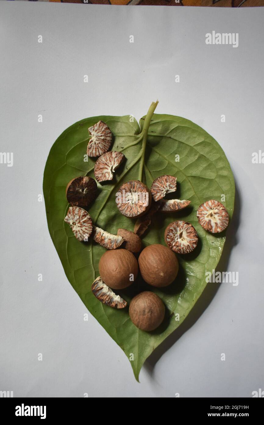 the betelnut Stock Photo