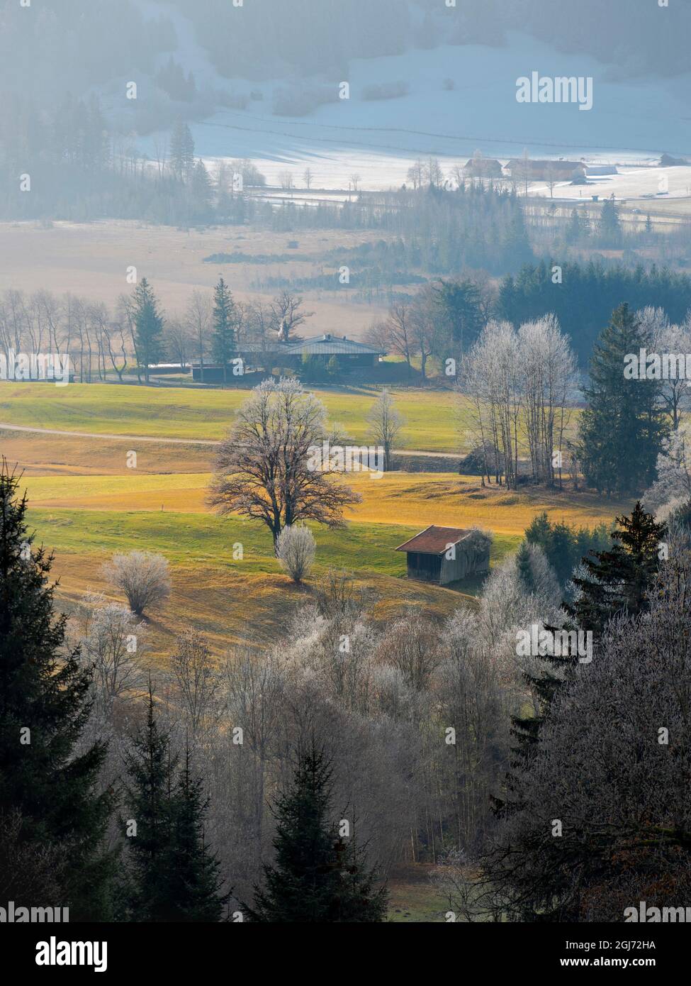 Landscape in the Bavarian alps near Unterammergau in the Werdenfelser Land (Werdenfels county). Europe, Germany, Bavaria Stock Photo