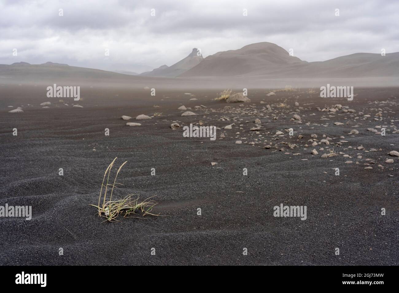 Iceland, Hrauneyjar. The black lava dominates the landscape with only sparse bits of grass to break the monotony, as high winds blow the lava bits. Stock Photo