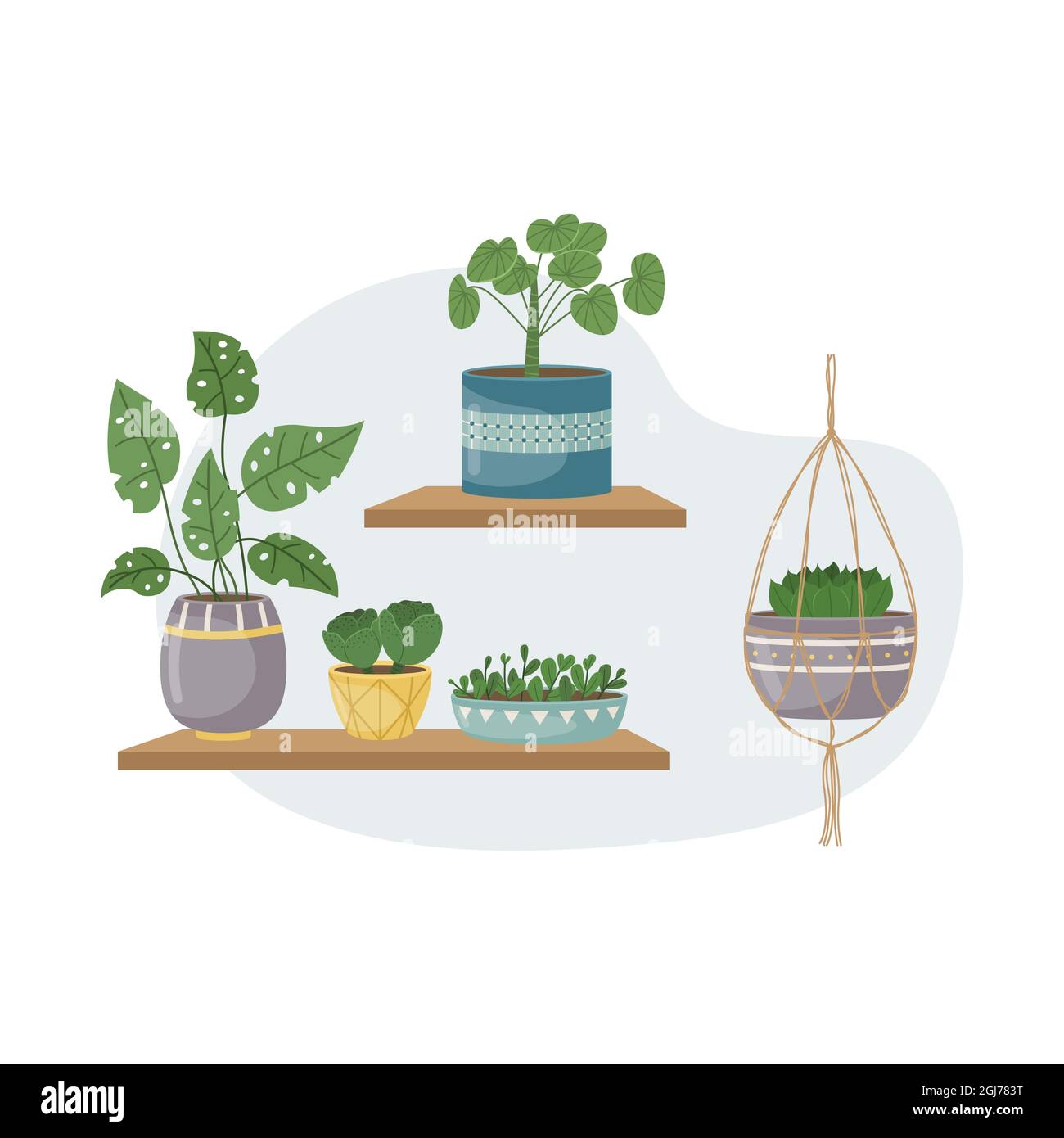 The flat illustration with house pants in pots. Planting. Decorative plants in the interior of the house. Flat style. Stock Vector