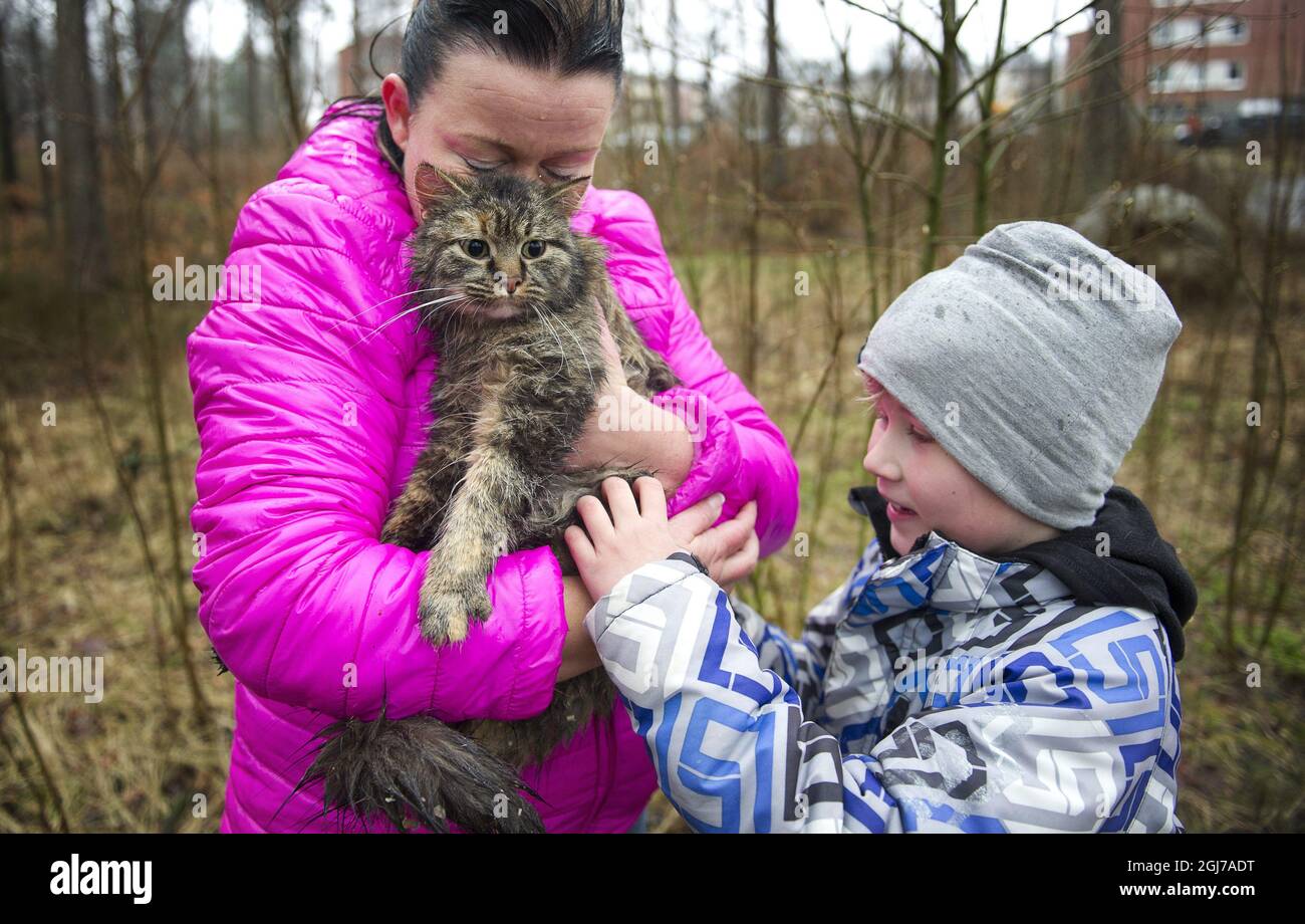 Tiffany, the pregnant cat, is welcomed back by owner Camilla Hammar with  son Viggo in the city of Orkelljunga, Sweden. April 10, 2012. Tiffany  became trapped in a high tree for six