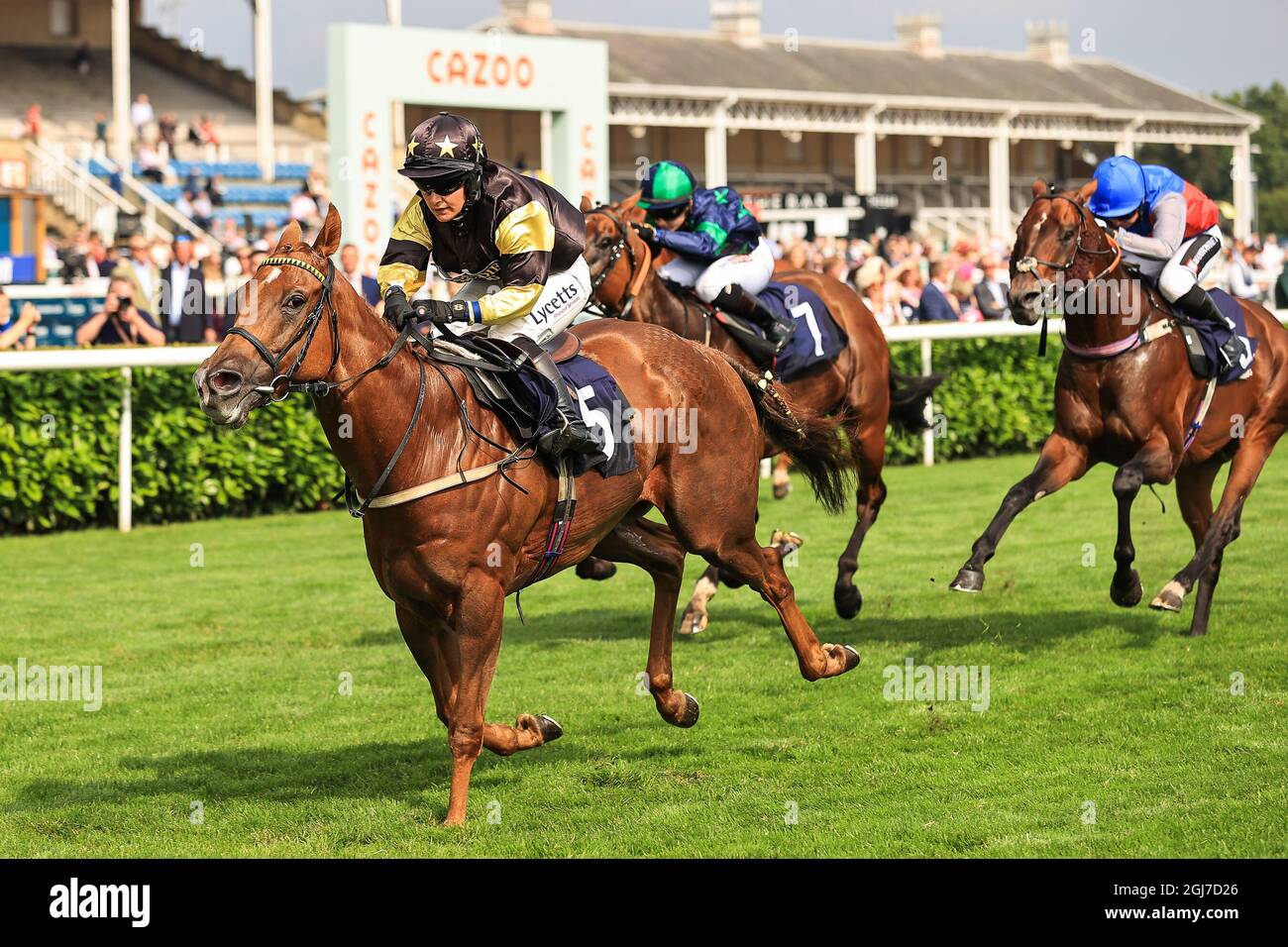 Call me ginger horse hires stock photography and images Alamy