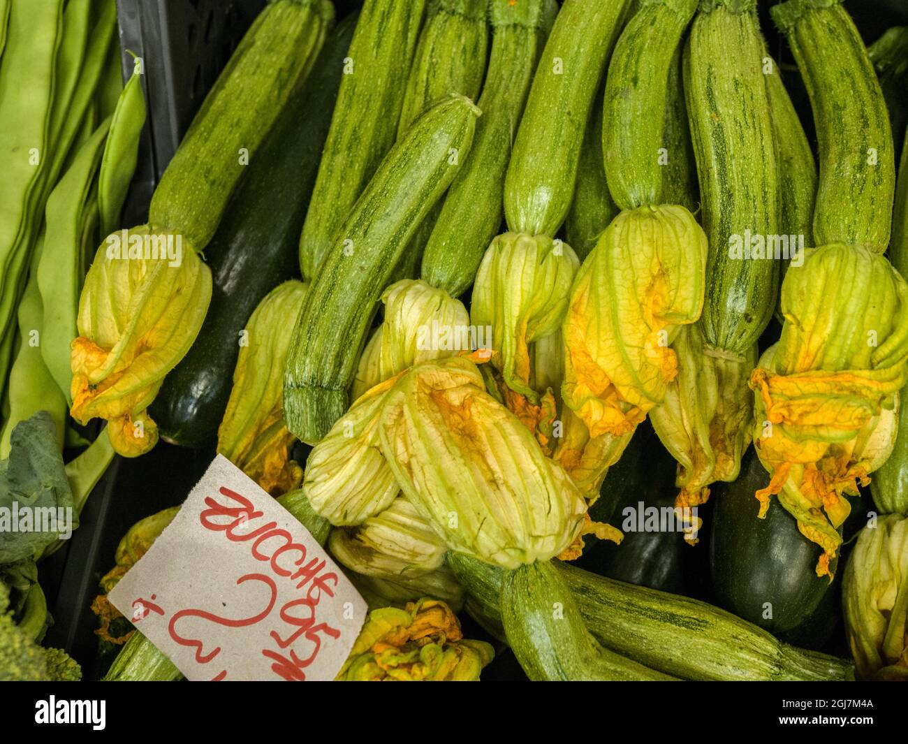 Zucchini firenze hires stock photography and images Alamy