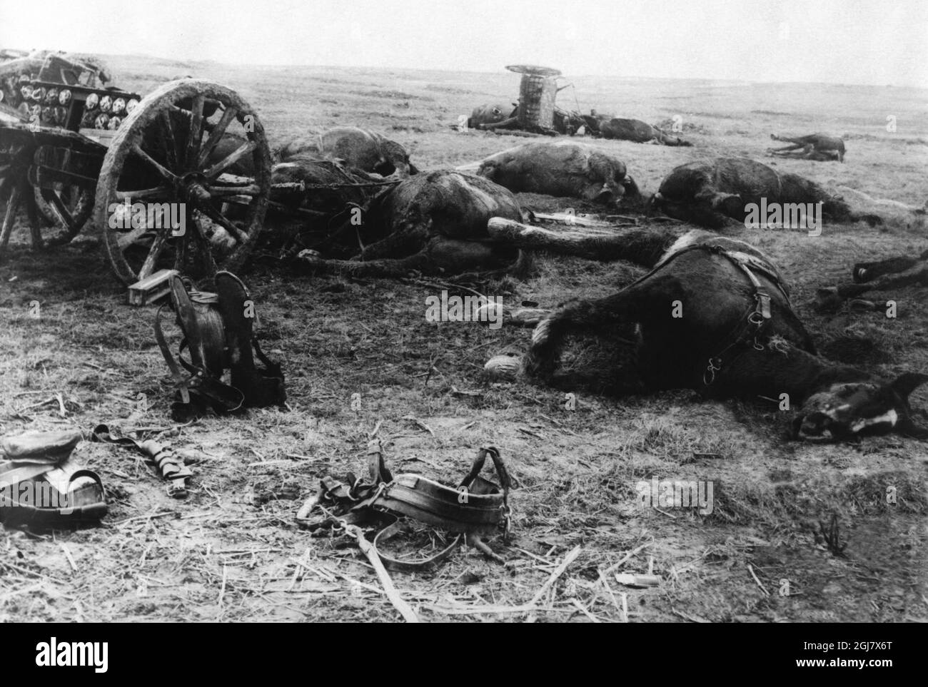 FILE 1914-1918. First World War. German artillery soldiers killed by English troops during the German advance on Albert. Stock Photo