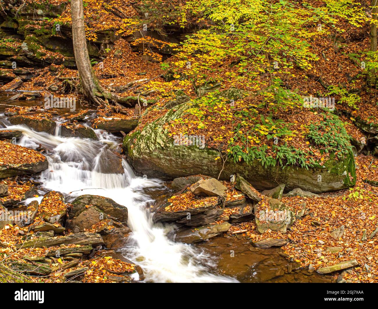Waterfalls at Ricketts Glen State Park, PA Stock Photo Alamy
