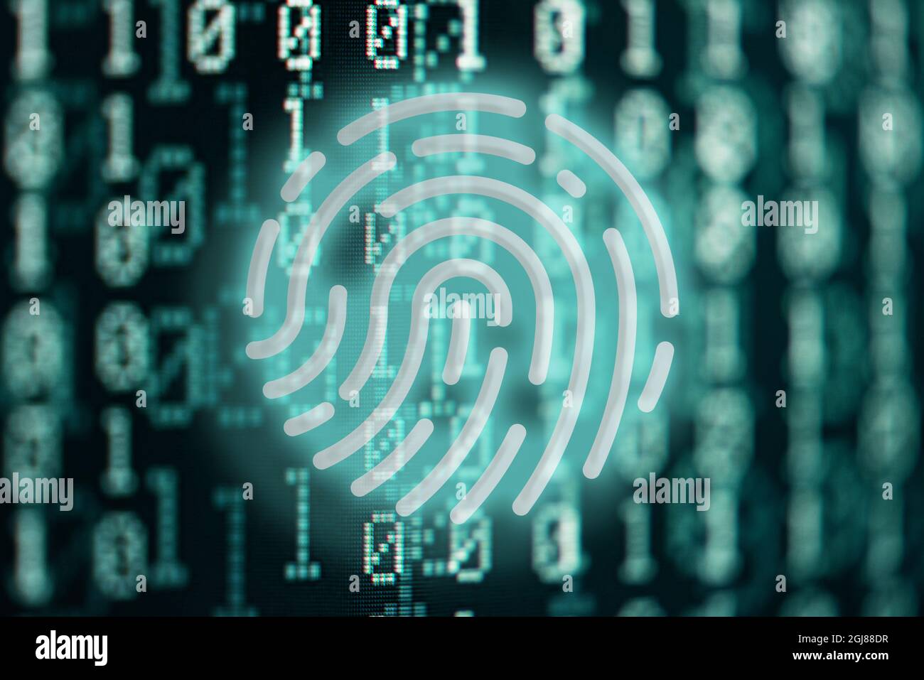 glowing fingerprint symbol against binary code digital background, internet security and privacy conceptprivacy, Stock Photo