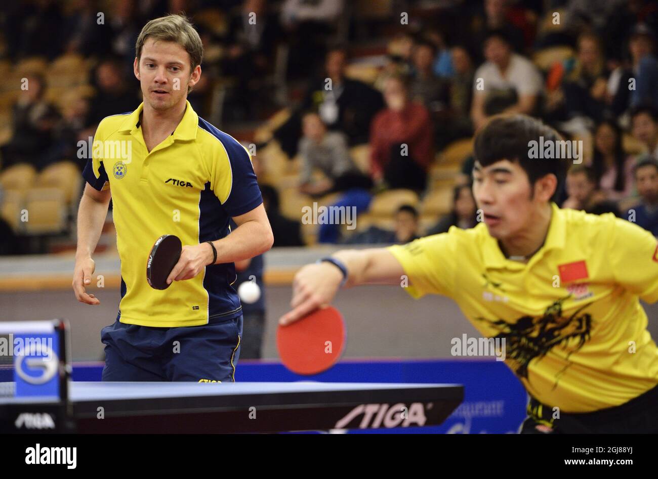 STOCKHOLM 2013-12-01 Yan An, China, and Par Gerell, Sweden, loose their  tennis table double final against Xu Xin of China and Jens Lundquist of  Sweden during the Swedish Open Championships at the