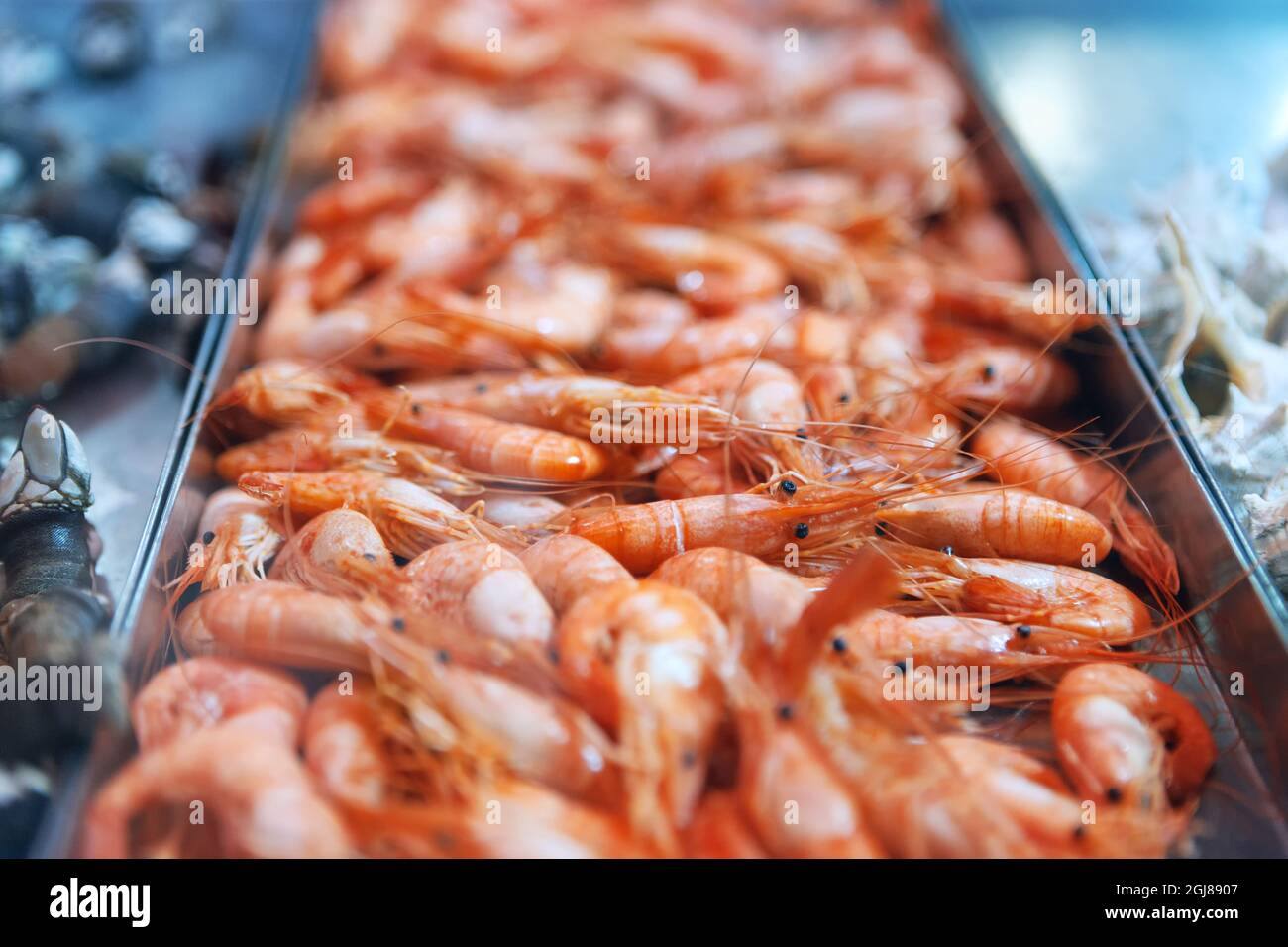 Hot Smoked Prawns . Shrimps on the showcase in the market . Pandalus Borealis Stock Photo