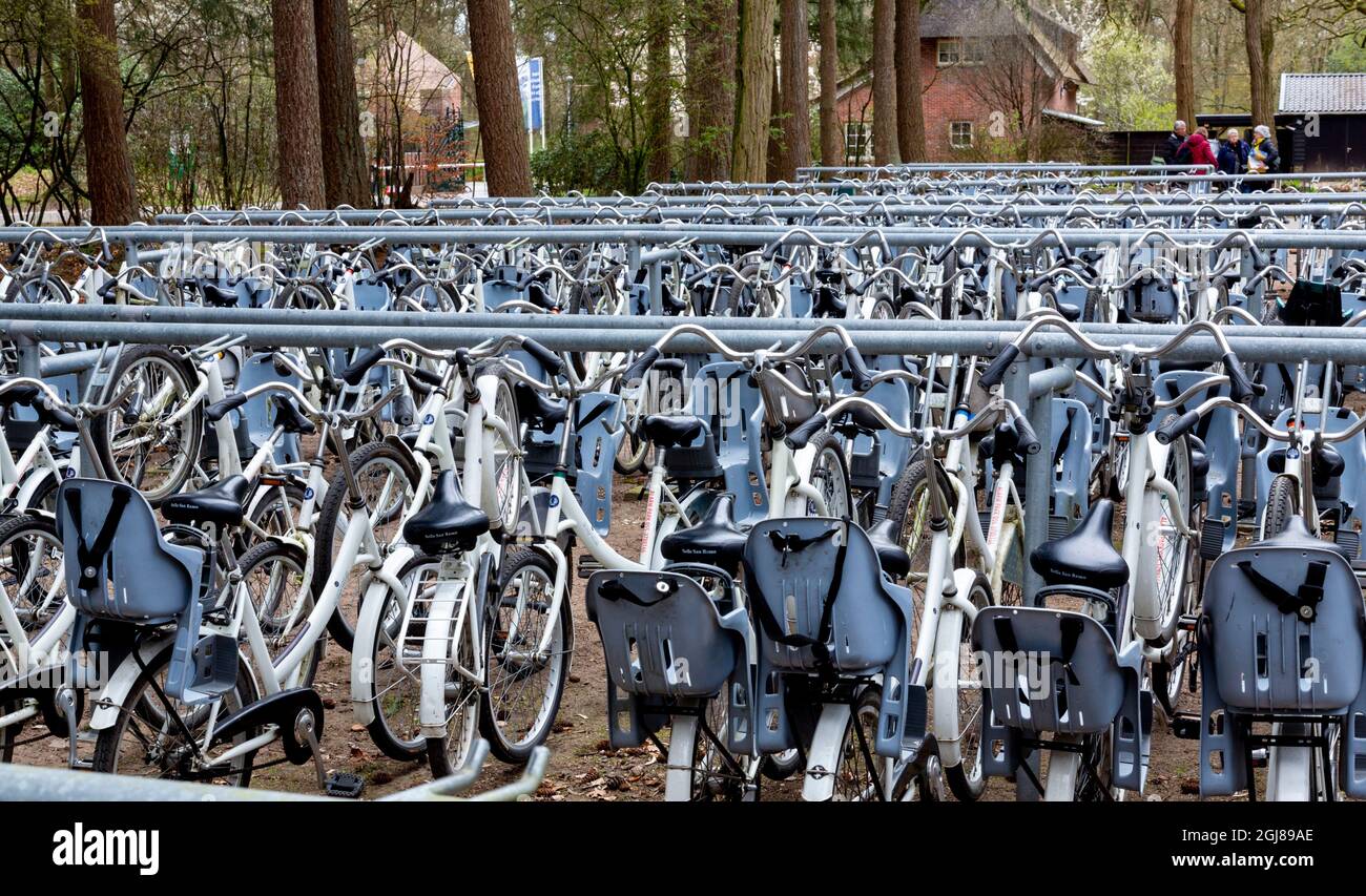 Europe, Netherlands, Otterlo. Bicycles for rent in Hoge Veluwe National Park. Credit as: Wendy Kaveney / Jaynes Gallery / DanitaDelimont.com Stock Photo