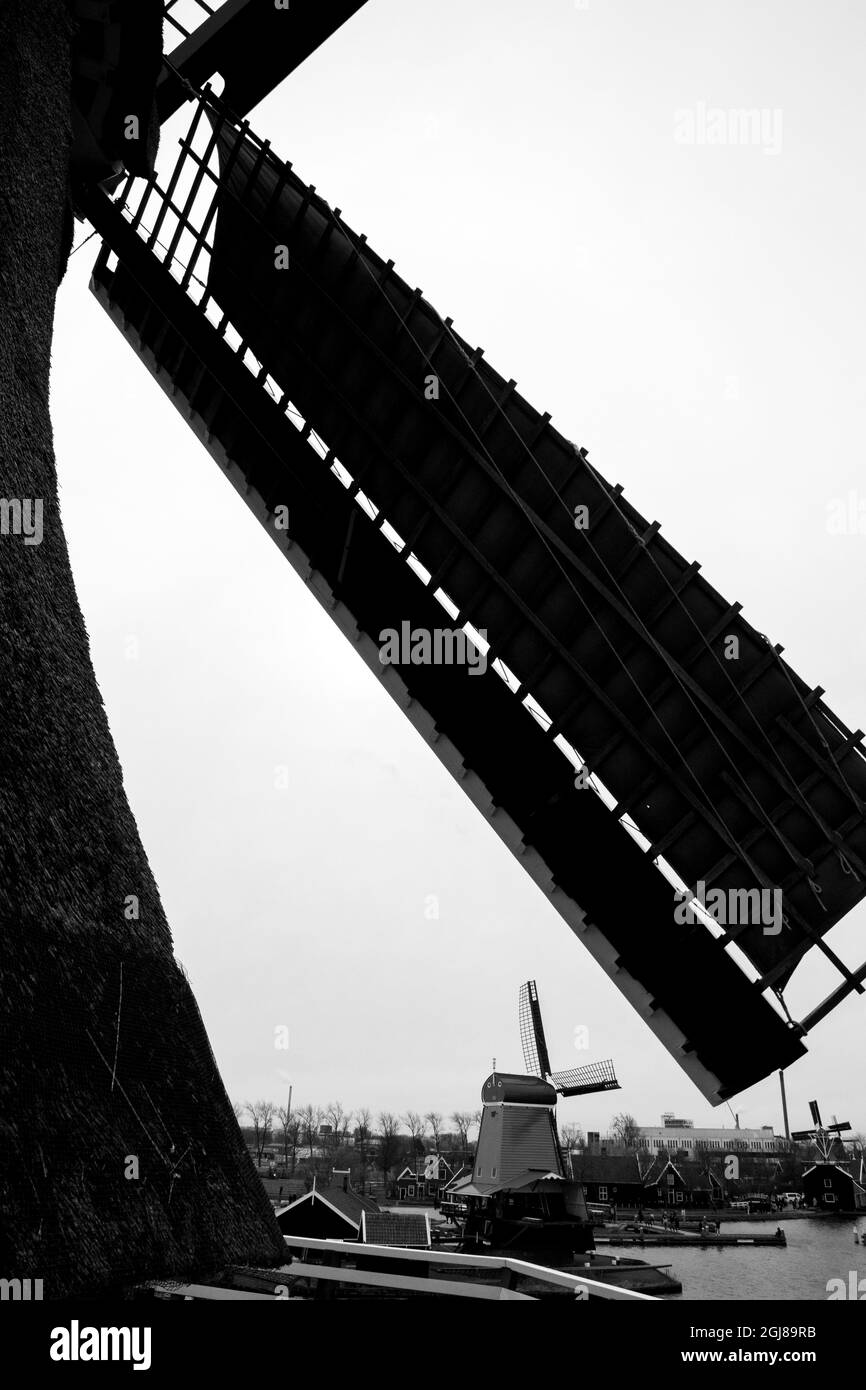 Europe, Netherlands, Zaanse Schans. Poelenburg woodmill and spicemill seen between sails of The Cat dyemill. Stock Photo