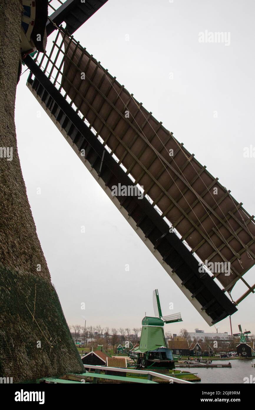 Europe, Netherlands, Zaanse Schans. The Poelenburg woodmill and spicemill seen between sails of The Cat dyemill. Stock Photo
