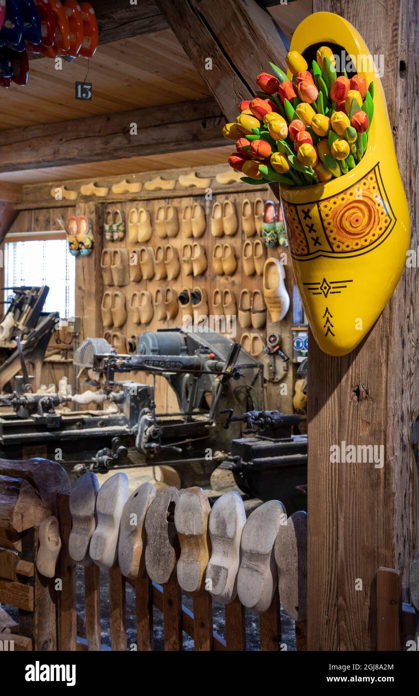 Europe, Netherlands, Zaanse Schans. Wooden shoes and wooden tulips in shoe factory. Stock Photo