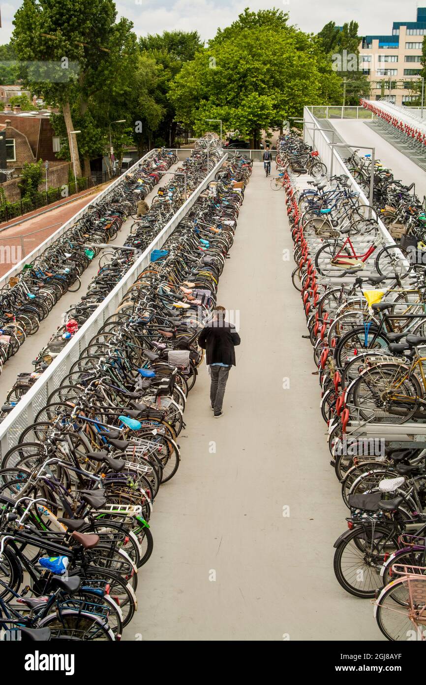 Bike rack in Alkmaar, Holland, Netherlands. (Editorial Use Only) Stock Photo