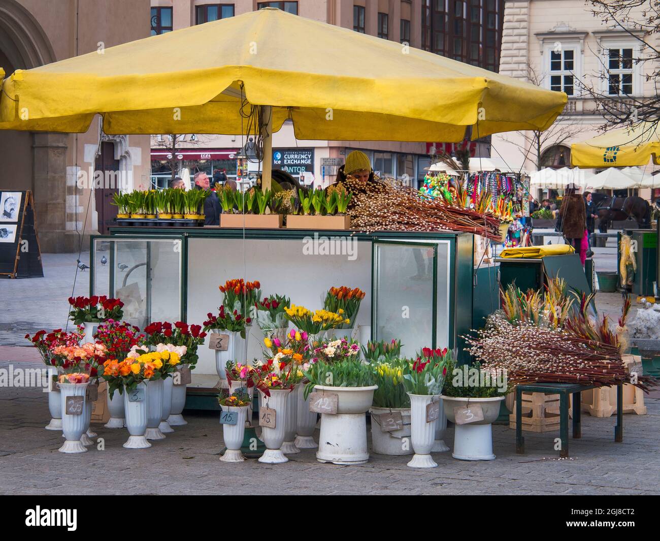 Flower Vendor, Historic Market Square, 'Rynek', Krakow, Poland, Europe