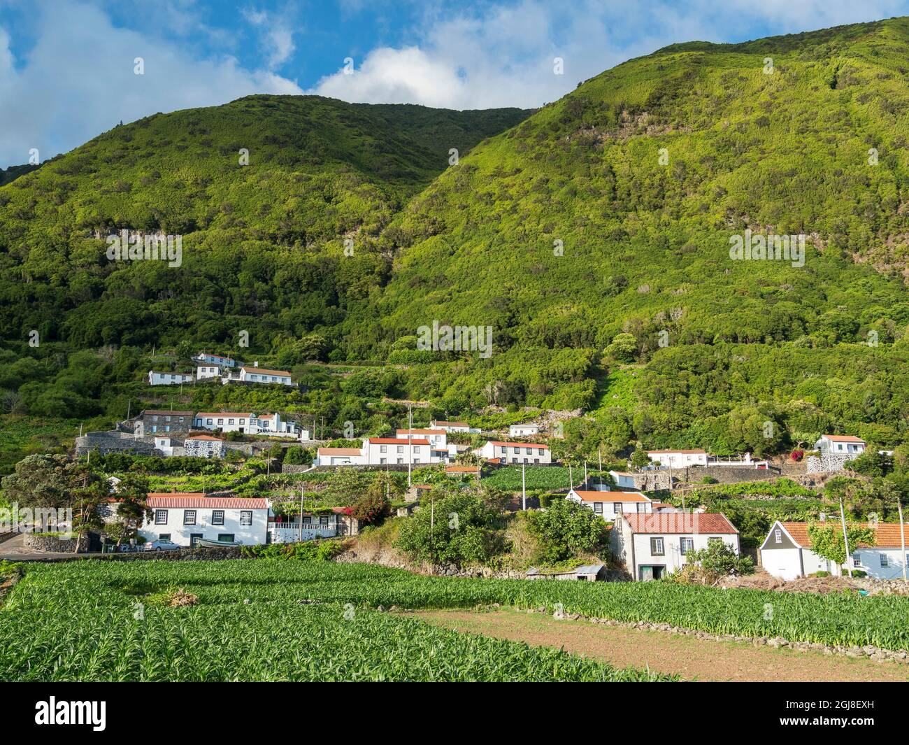 Faja dos Vimes. Sao Jorge Island, Azores, Portugal Stock Photo - Alamy