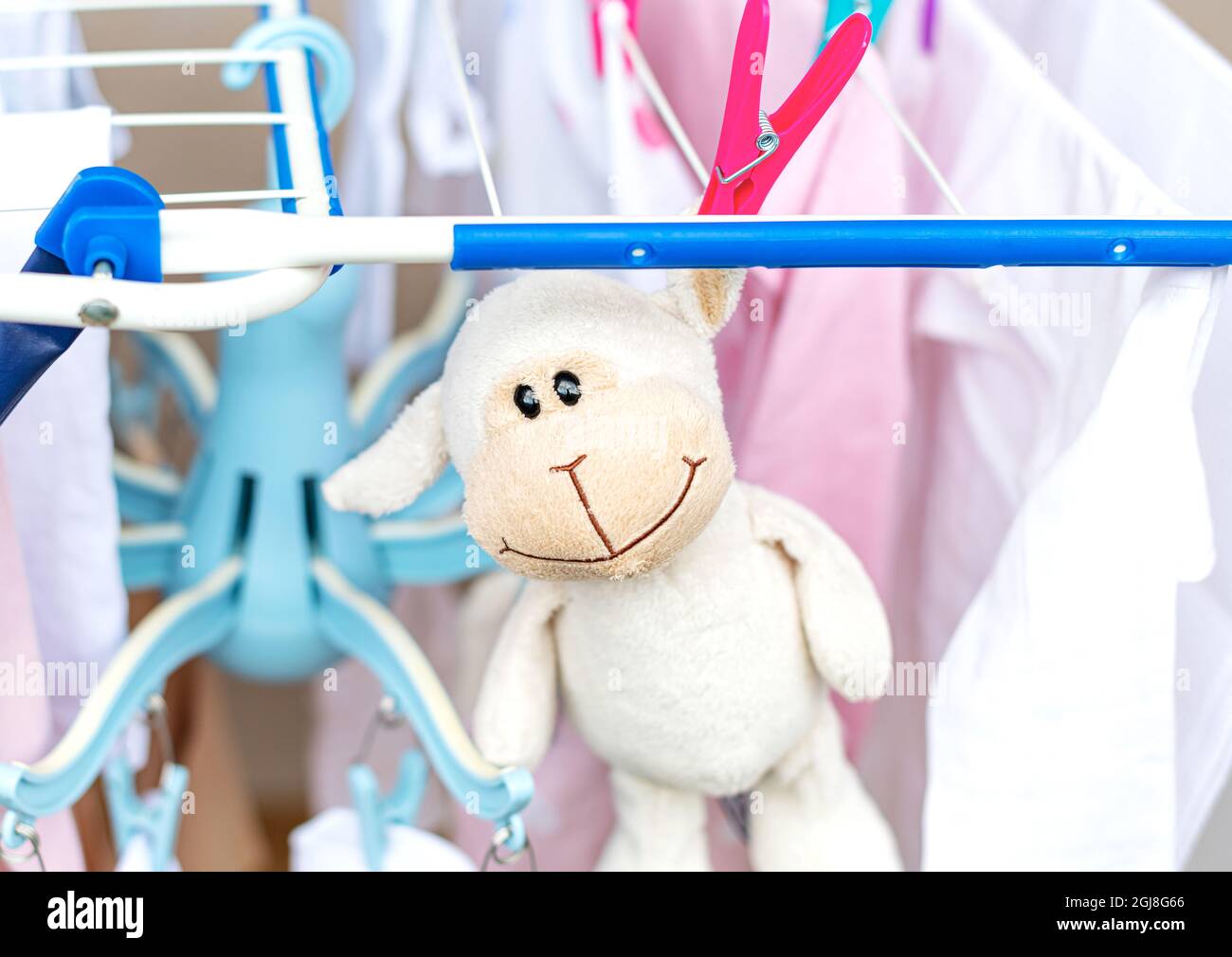 The soft toy is dried in a dryer Stock Photo Alamy