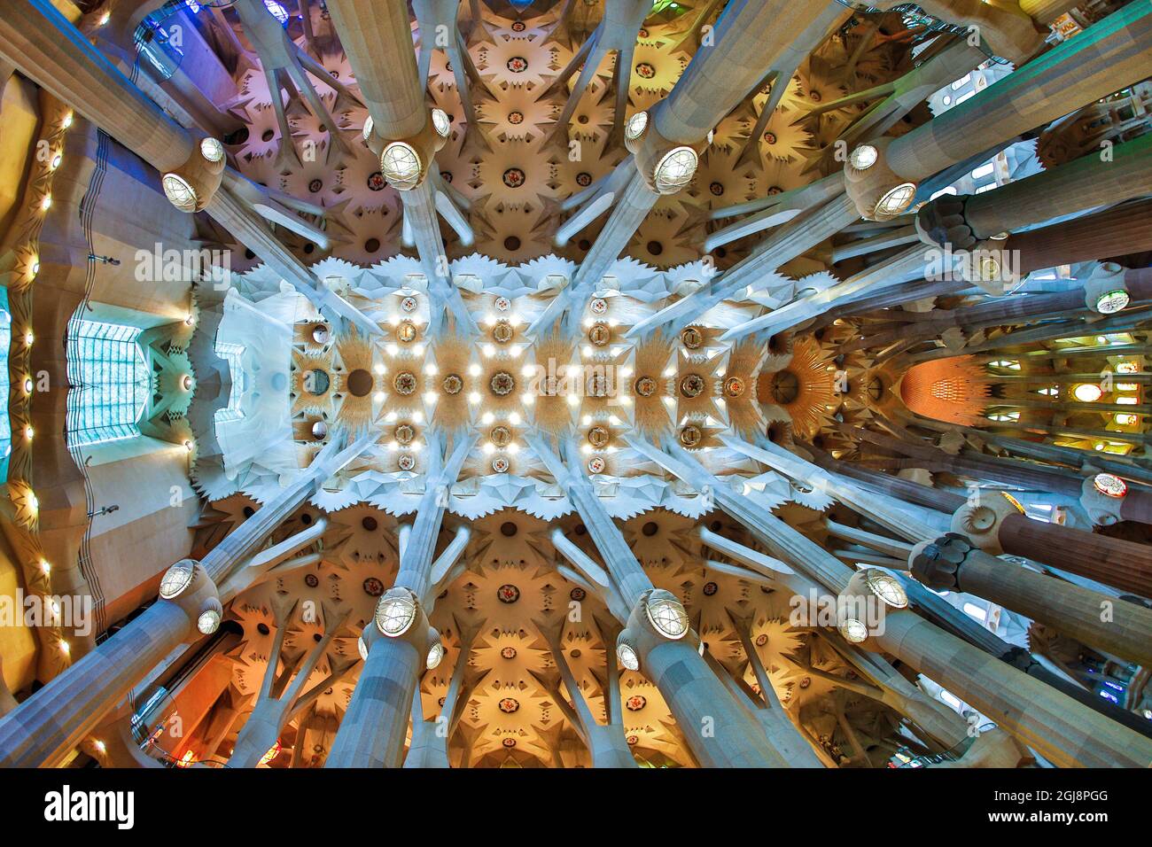 Spain, Barcelona. Sagrada Familia Ceiling Stock Photo - Alamy