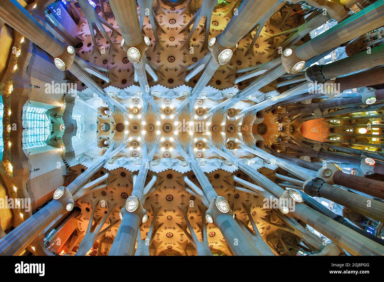 Spain Barcelona Sagrada Familia Ceiling Stock Photo Alamy
