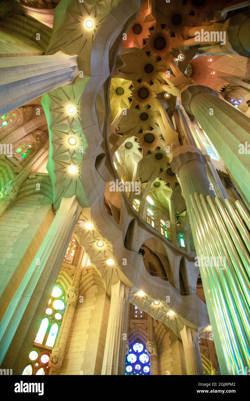 Spain, Barcelona. Sagrada Familia interior Stock Photo - Alamy