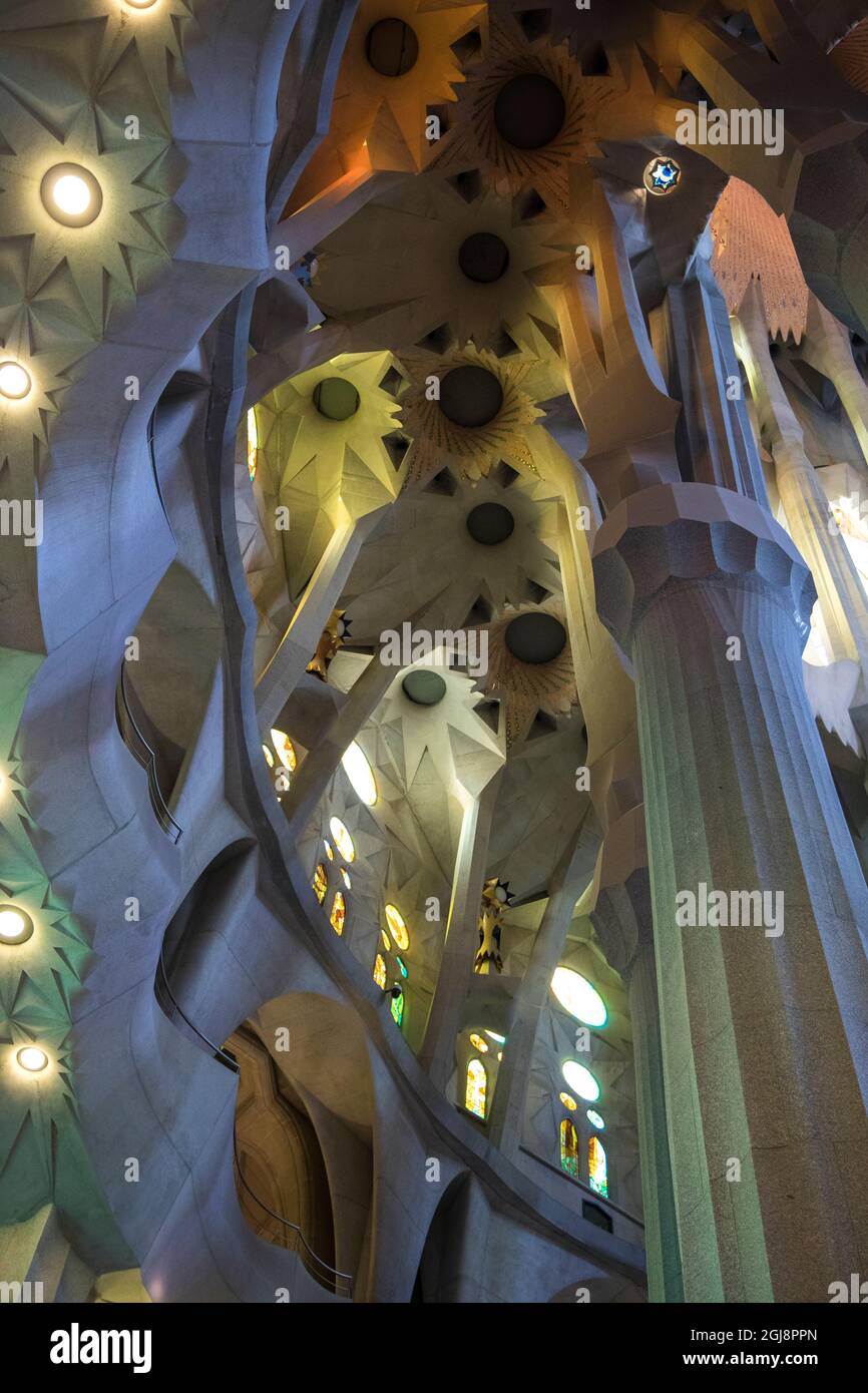 Spain, Barcelona. Sagrada Familia interior Stock Photo - Alamy