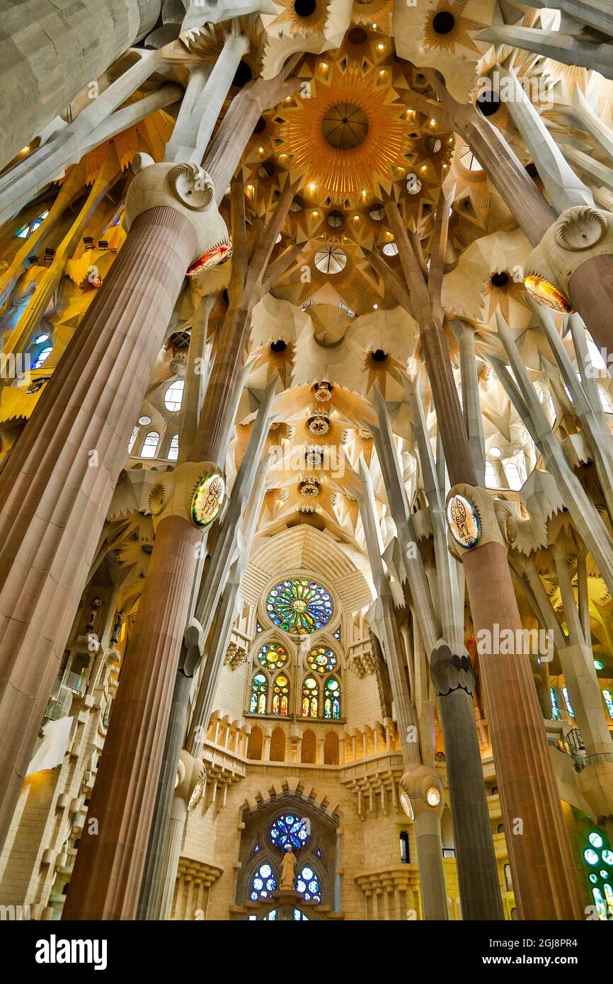 Spain, Barcelona. Sagrada Familia interior Stock Photo - Alamy