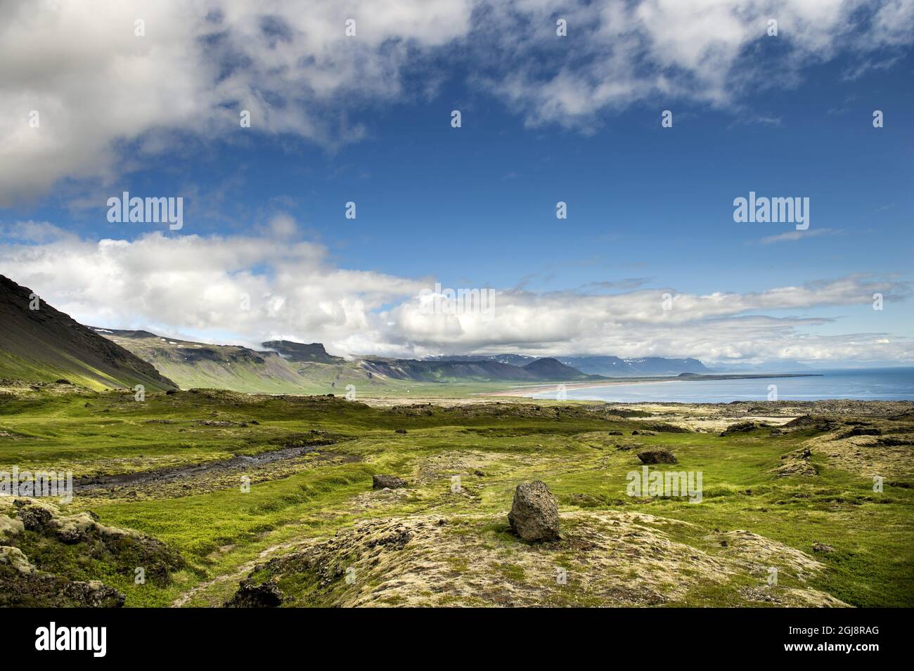 Trã Tt High Resolution Stock Photography and Images - Alamy