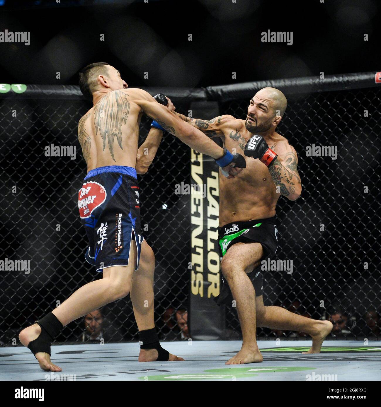 STOCKHOLM 2014-10-04 Max Holloway (left) of USA fights compatriot Akira  Corassani during a featherweight MMA bout during the Ultimate Fighting  Championship (UFC) gala at the Globe Arena in Stockholm, Sweden, on Oct.