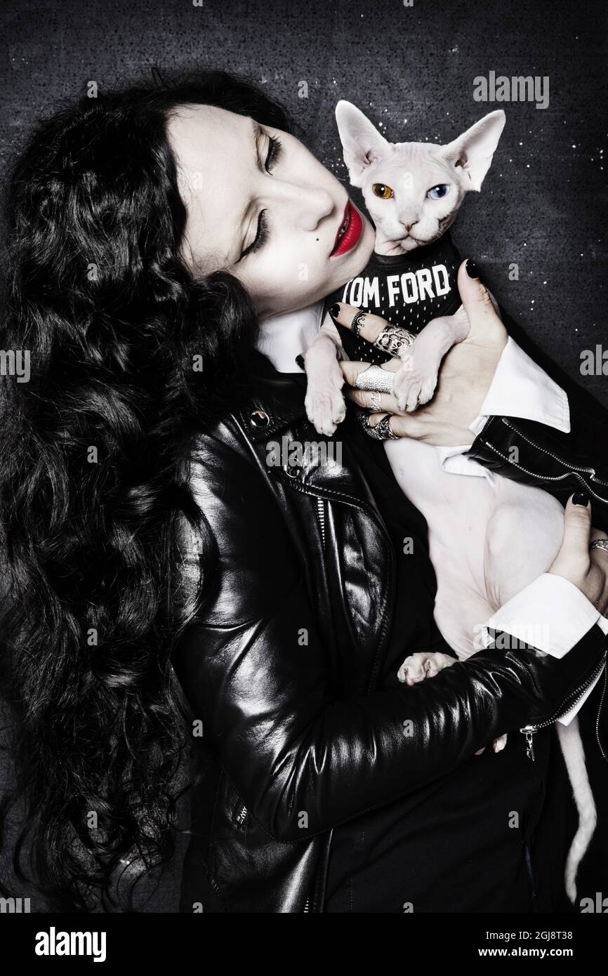 cat wearing leather jacket