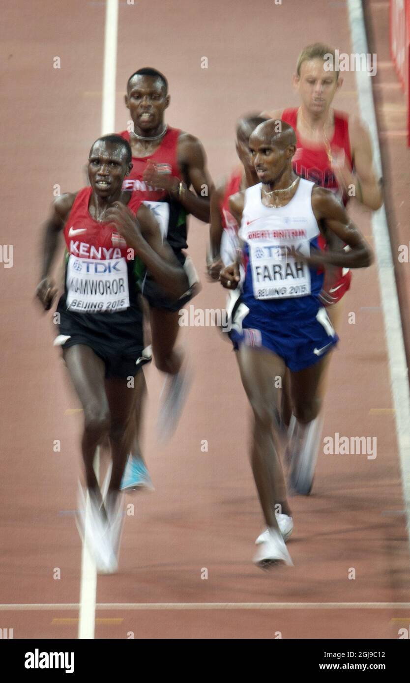 BEIJING 20150822 Geoffrey Kipsang Kamworor from Kenya and Mohamed Farah of Great Britain during after winning the men's 10000m final during the Beijing 2015 IAAF World Championships at the National Stadium in Beijing, China, August 22, 2015. Photo: Jessica Gow / TT / Kod 10070  Stock Photo